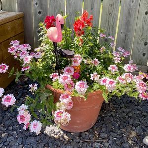 Meet your Posher, Mandy